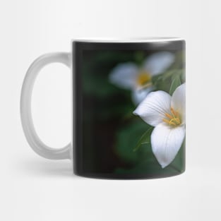 Group of trillium flowers Mug